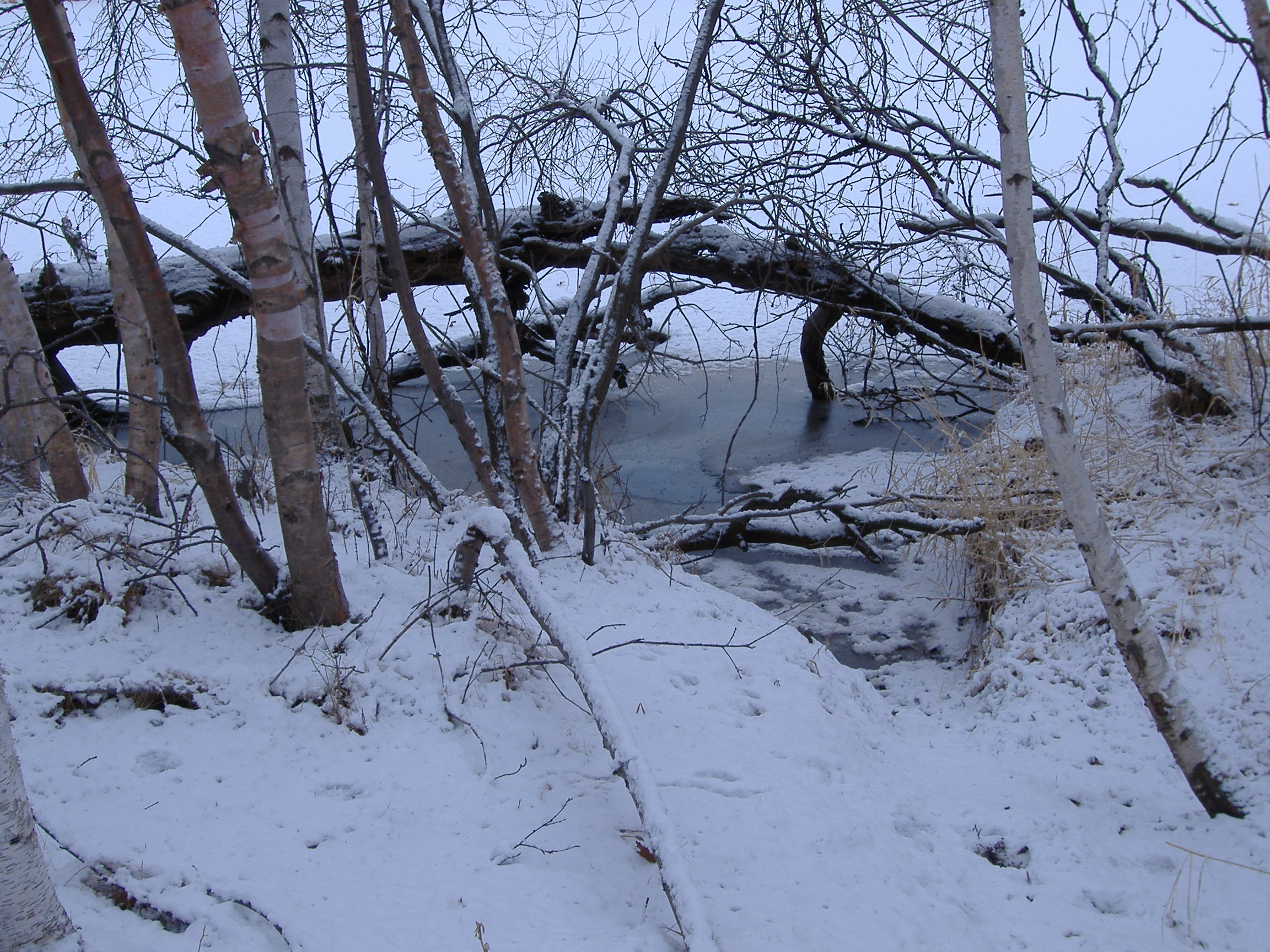 DSCF0151.JPG