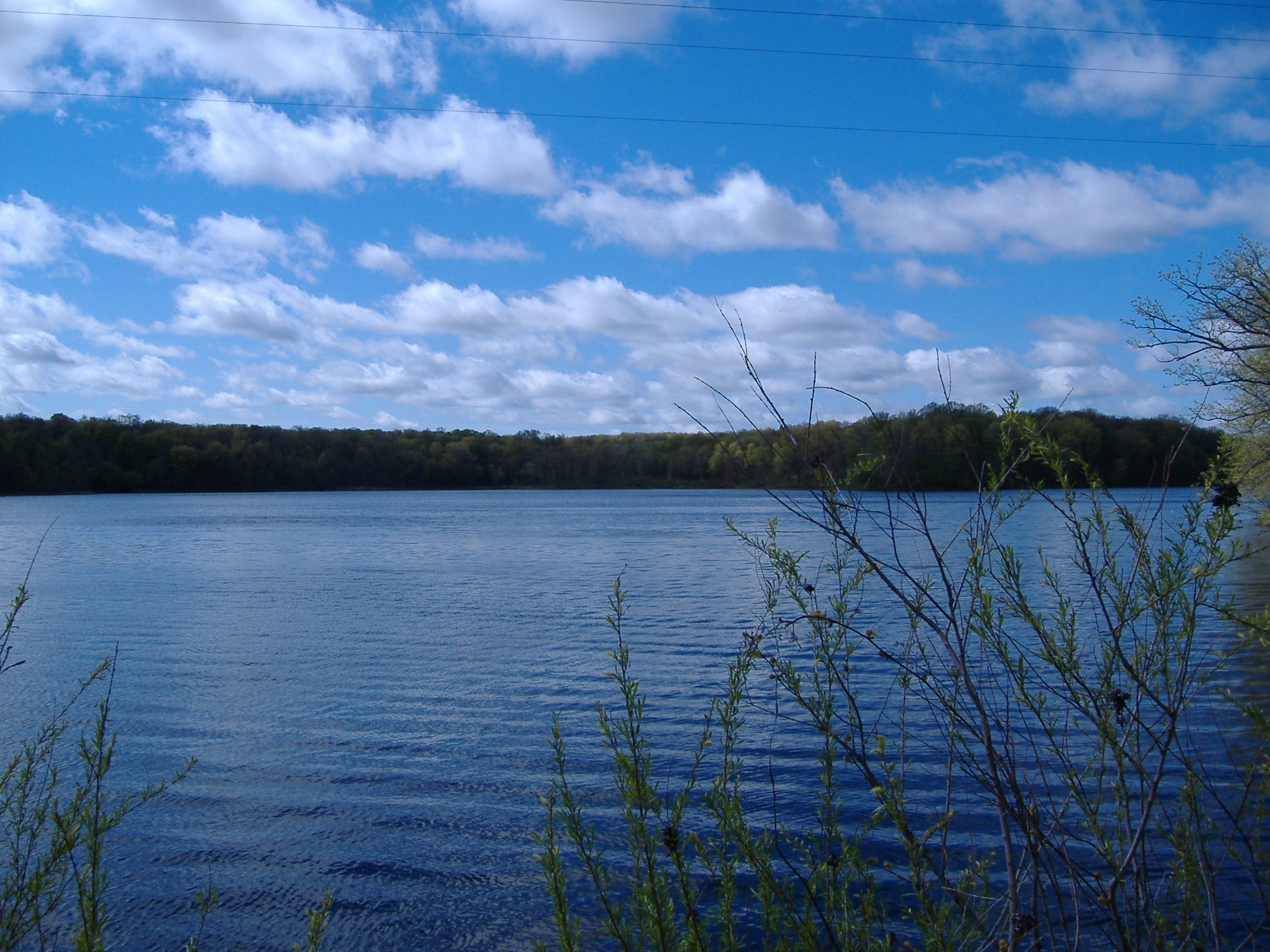 DSCF0653.JPG