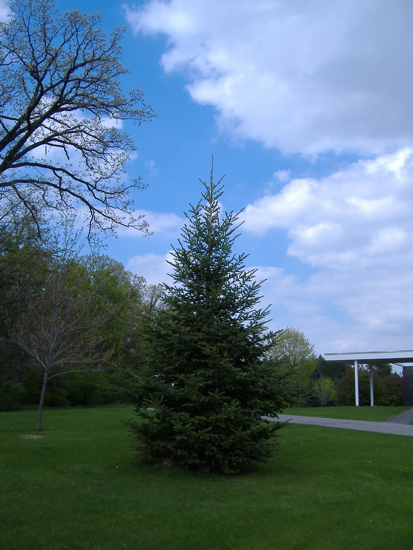 DSCF0660.JPG
