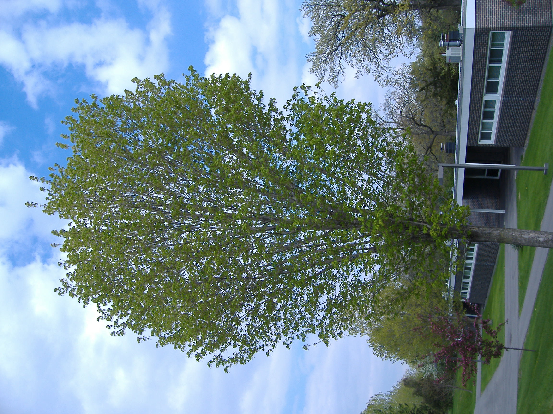 DSCF0663.JPG