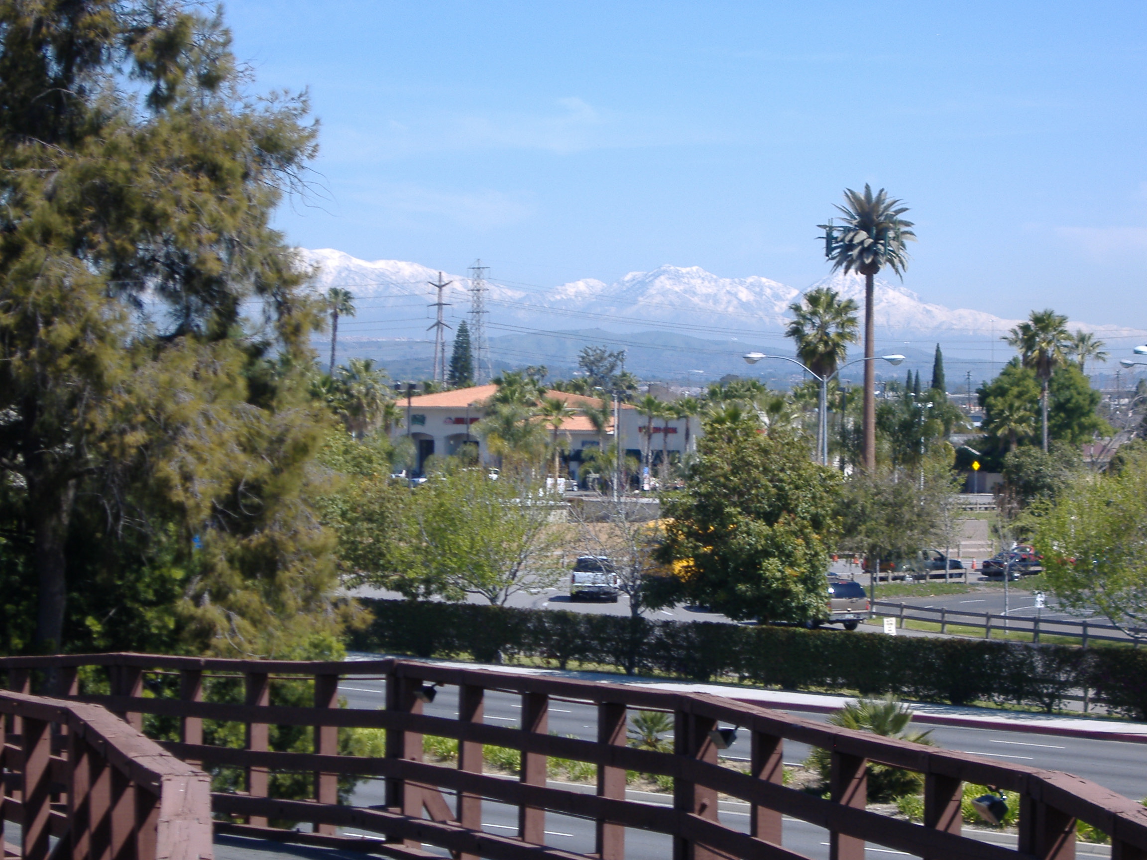 DSCF0235.JPG