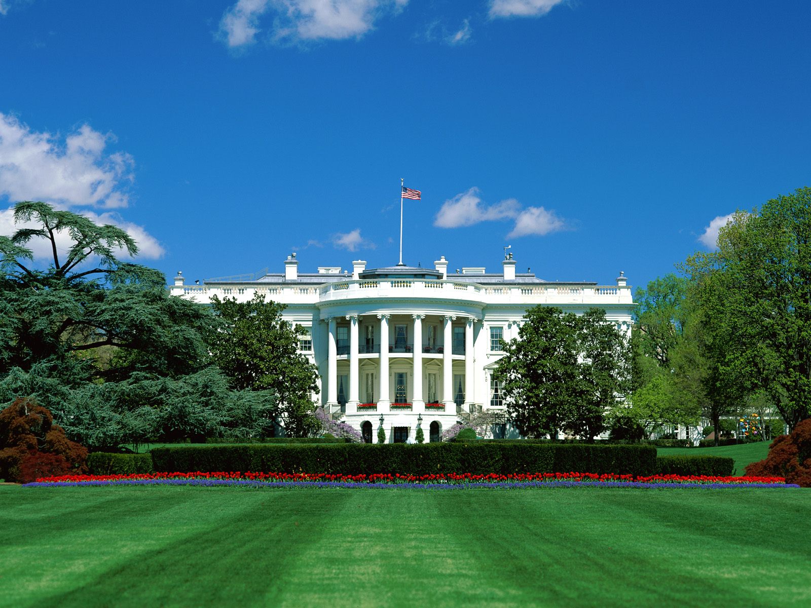 White house.jpg